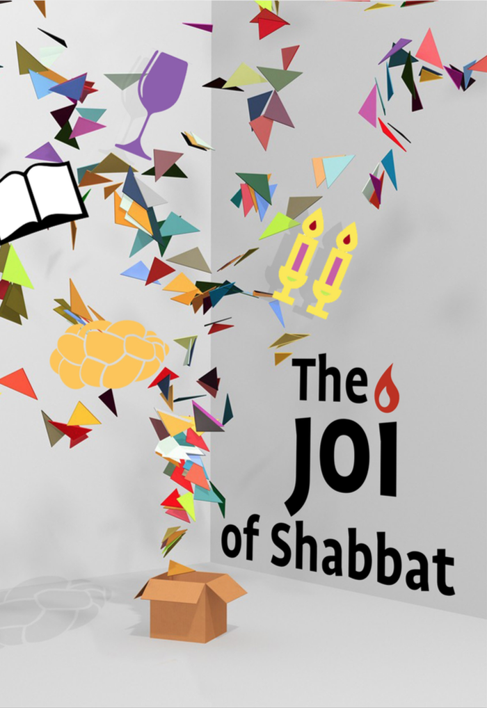 JOI of Shabbat book